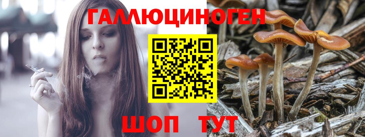 Галлюциногенные грибы MAGIC MUSHROOMS  Псилоцибиновые грибы прущие грибы  Ефремов  Вход с VPN 