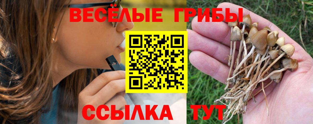 Псилоцибиновые грибы ЛСД Ефремов